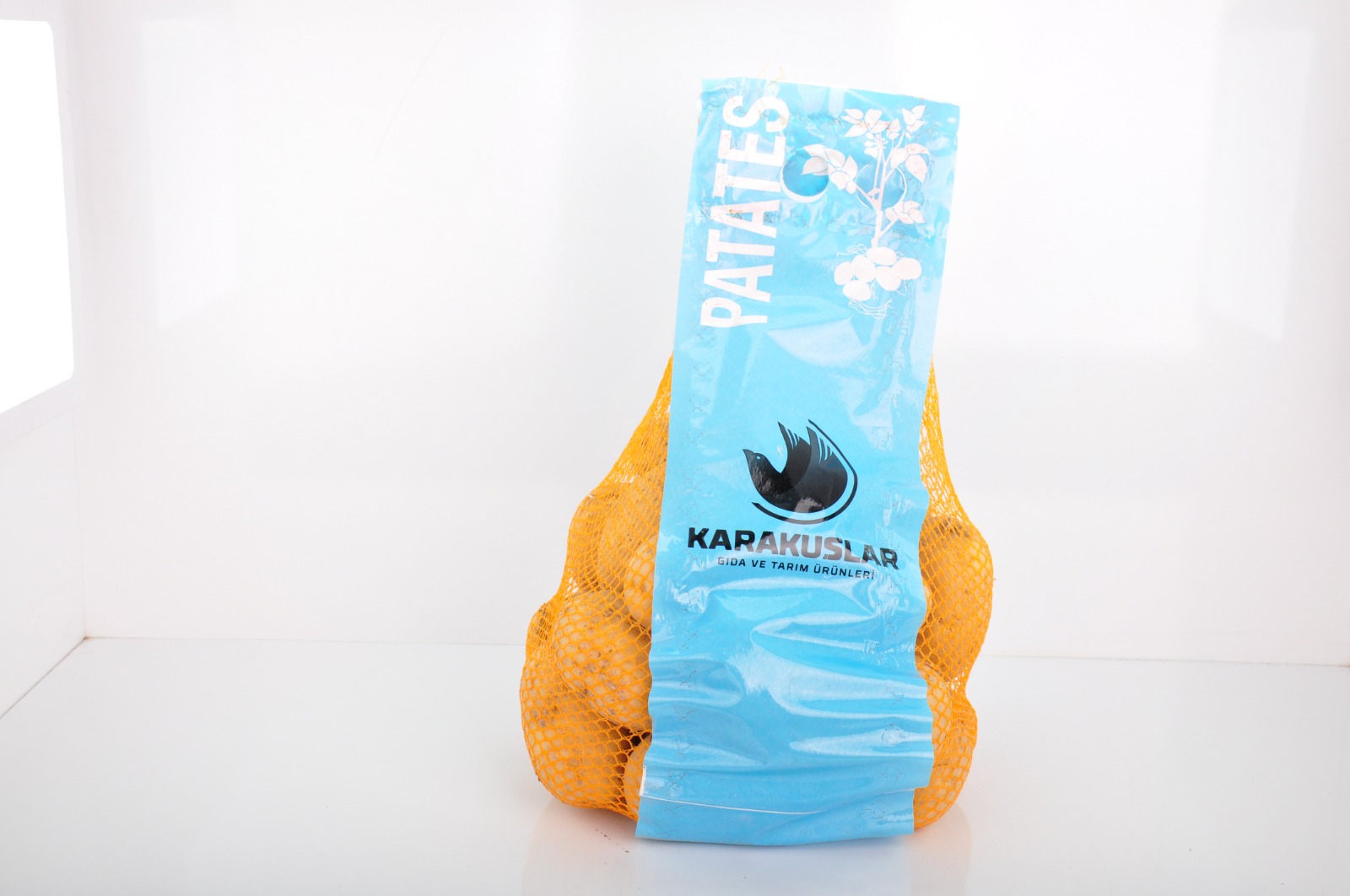 Imagen principal de la receta