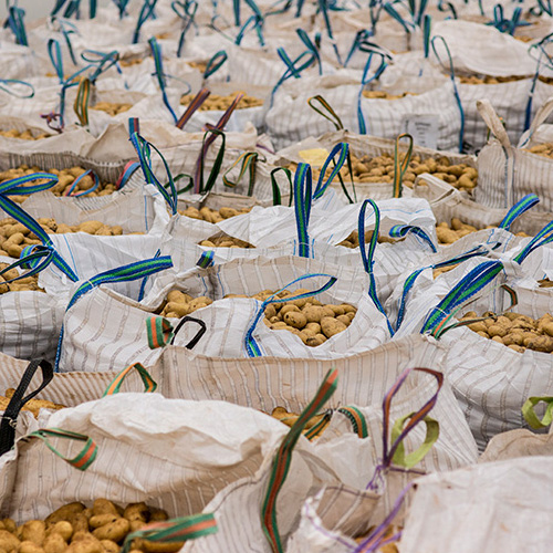 Imagen de Recepción