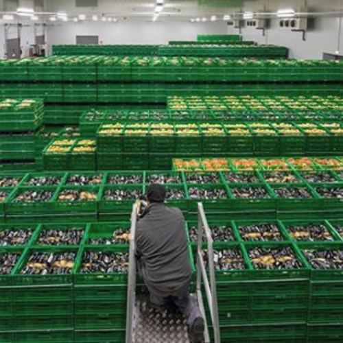 Imagen de Expedición